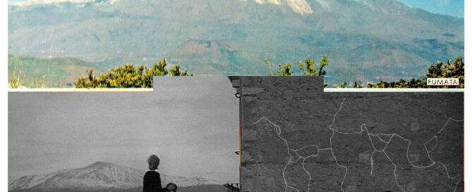 Copyright Sarah Wood