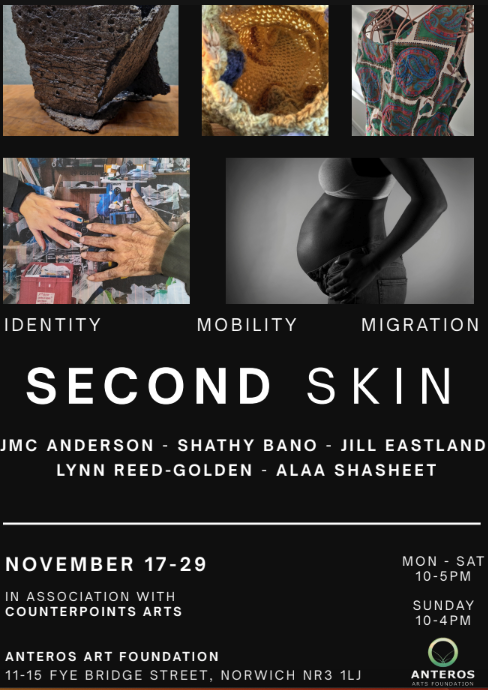 Poster for Second Skin exhibition featuring a selection of artworks